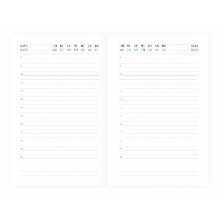 Ежедневник недатированный коричневый,А6,100x150, 320стр,Agenda