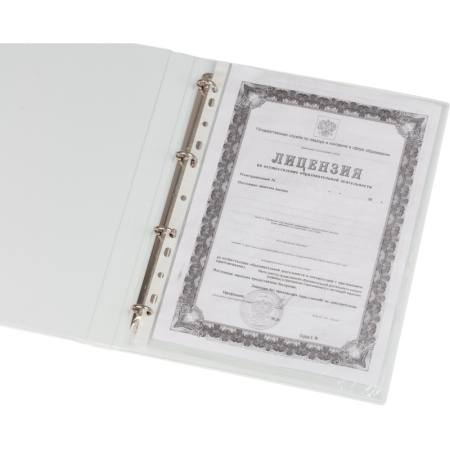 Папка Панорама на 4-х кольцах  30мм Россия