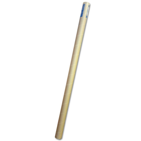 Настенная карта Автодороги РФ и сопред.госуд.полит-адм,1:3,7млн,2,33х1,58м.