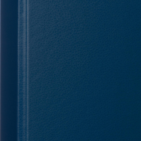 Папка на 4-х кольцах 25мм синяя Россия