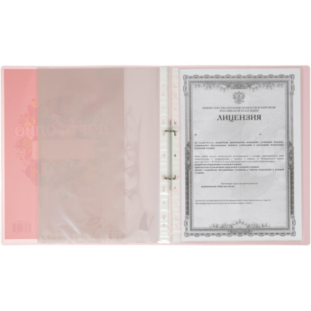 Папка Портфолио ученика на 2 ух кольцах, с 20 файлами,роз