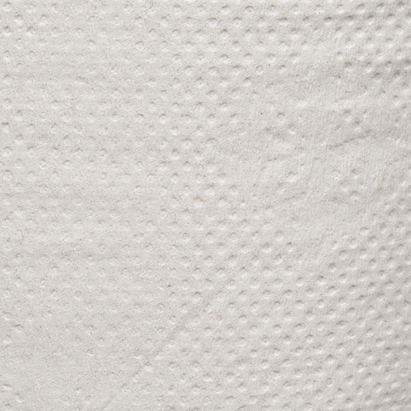 Бумага туалетная д/дисп 1сл сер втор 200ф 12рул/уп 0024А