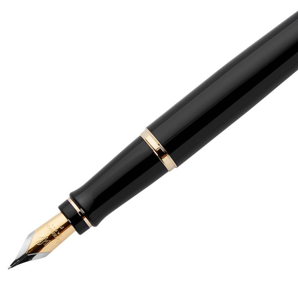 Ручка перьевая WATERMAN EXPERT S0951640 черн. корп, син чернила 0,5мм Франц