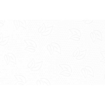 Бумага туалетная д/дисп Protissue 2сл бел цел 170м 12рул/уп С191