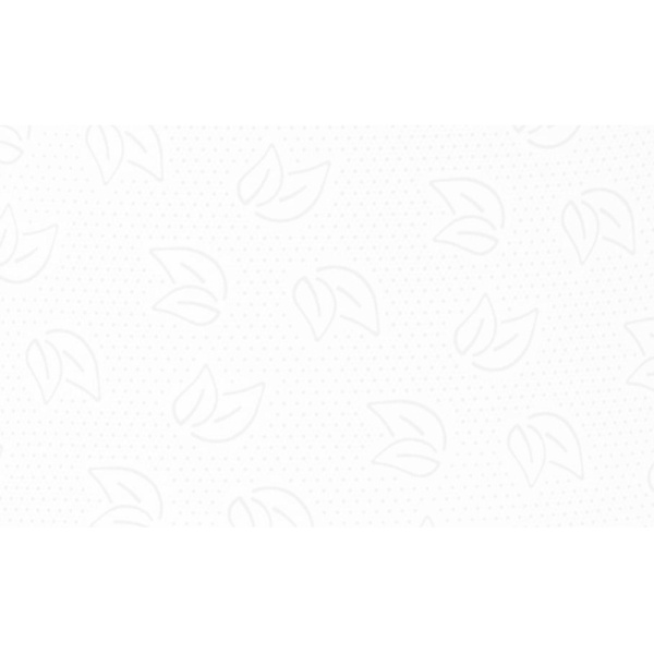 Бумага туалетная д/дисп Protissue 2сл бел цел 170м 12рул/уп С191