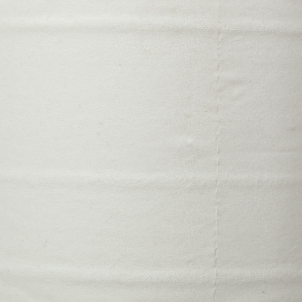 Бумага туалетная д/дисп Luscan Professional с ЦВ 2сл бел цел 215м 6 рул/уп