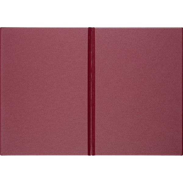 Папка адресная На подпись 2032И-203, ПВХ, бордовая, Россия