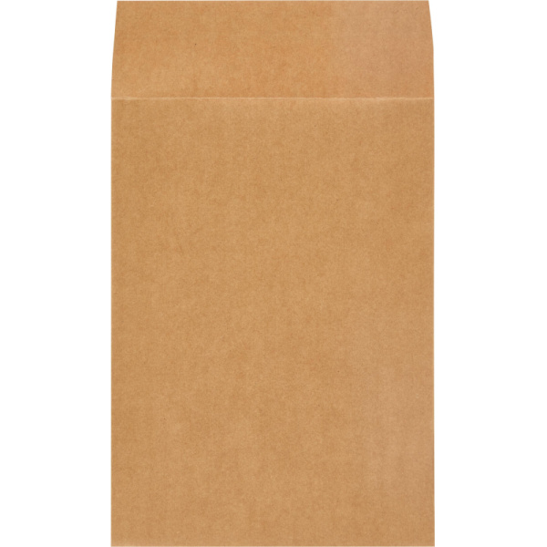 Пакет в упаковке Крафт С4стрип Largepack 229х324 мм100г200шт/уп/6286