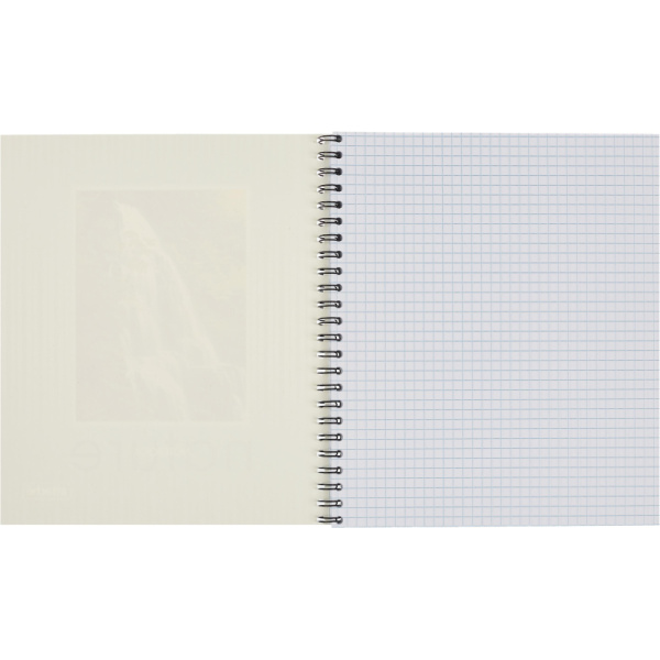 Тетрадь общая Attache,80л,клет,А5,спир,обл.мел.карт