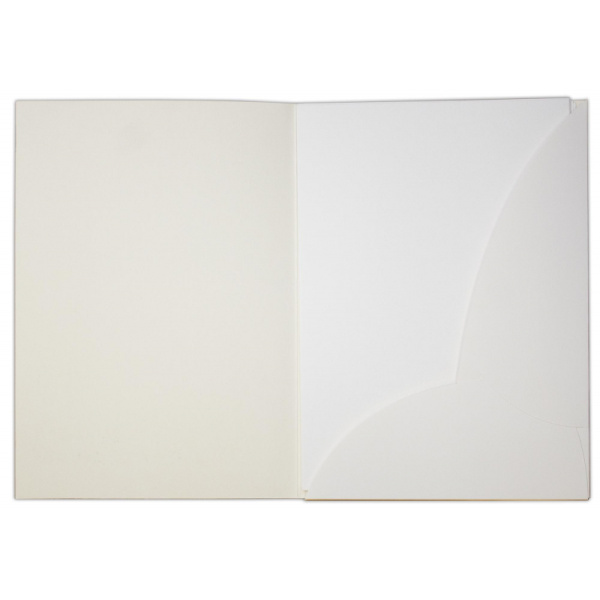 Папка для рисования А4,10л,Гознак 200гр, Луч Школа творчества 1797-08