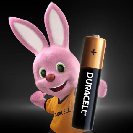 Батарейка DURACELL BASIC ААA/LR03-8BL