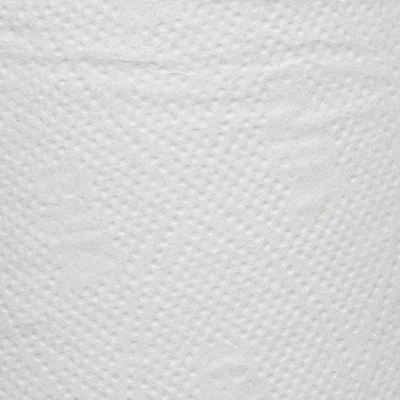 Бумага туалетная д/дисп 1сл бел макул втул 200м 12рул/уп 200W1