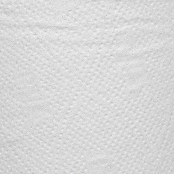 Бумага туалетная д/дисп 1сл бел макул втул 200м 12рул/уп 200W1