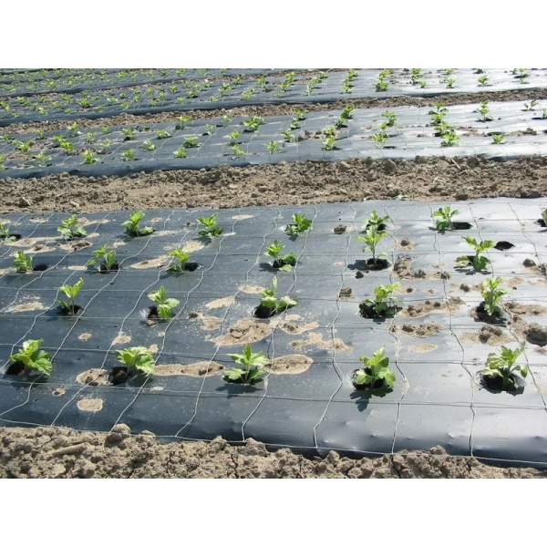 Пленка укрывная рукав ПВД, черная, 2 сорт, 35мкм, 1,8х50м