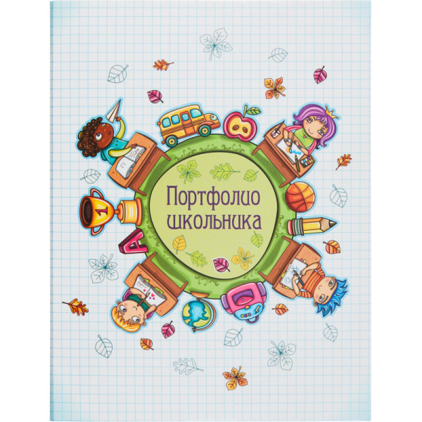 Портфолио папка Портфолио школьника ламинир.картон