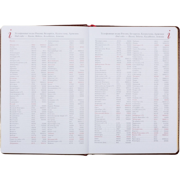 Ежедневник недатированный коричнев,А5,145х205,136л,Sidney NEBRASKA 3-128/03