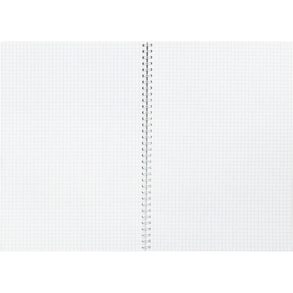 Бизнес-тетрадь А4,80л,кл,греб,обл.мат.лам. Attache Selection Pastel Полосы
