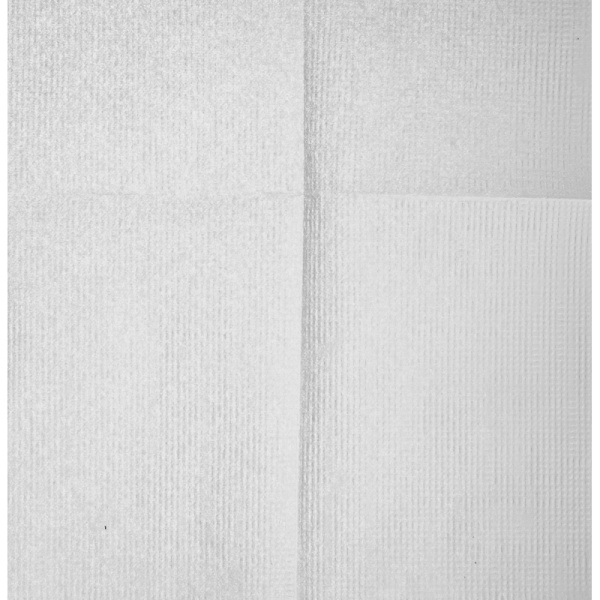 Салфетки бумажные Luscan Professional N21сл100л30 пач/уп