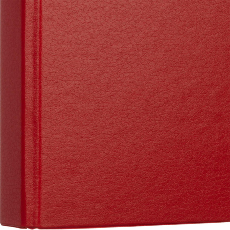 Папка на 4-х кольцах 25мм  красная Россия