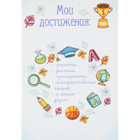 Портфолио папка Портфолио школьника ламинир.картон