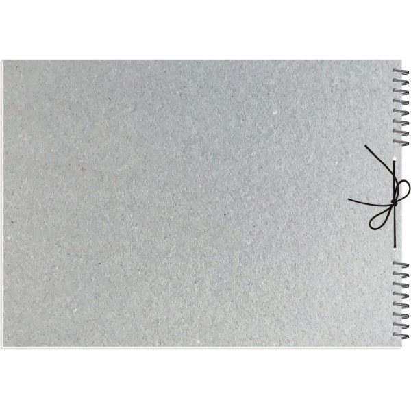 Журнал проведения вводного инструктажа (по ТБ, ОТ, пож.безопасн.и др.) 2313