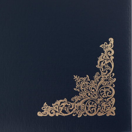 Папка адресная с ВИНЬЕТКОЙ бумвинил с поролоном синяя