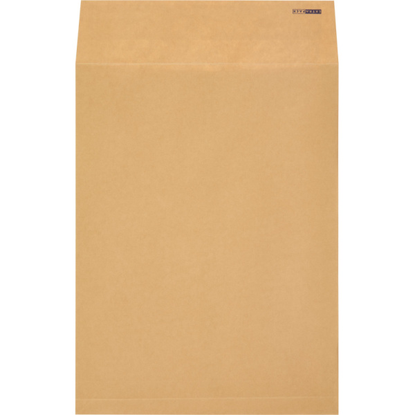 Пакет крафт E4 стрип Extrapack 300х400х40 120г 25шт/уп/6589