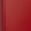 Папка на 4-х кольцах 25мм  красная Россия