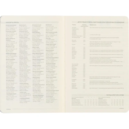 Ежедневник недатированный А5 140 х 210 мм Megapolis Flex син 272 стр.3-531