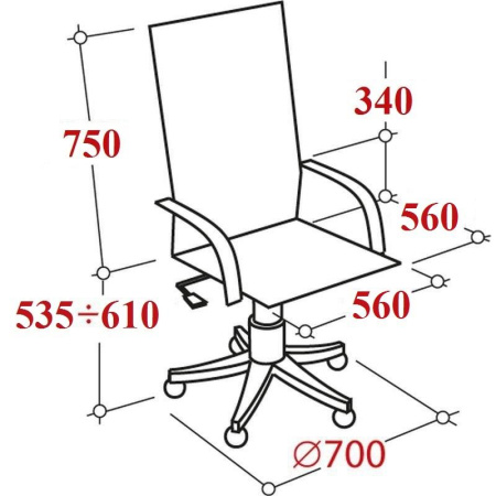 Кресло BN_Dp_EChair-585 TR рецикл.кожа черный, хром