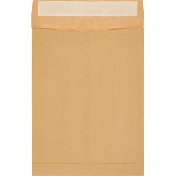 Пакет крафт E4 стрип Extrapack 300х400х40 120г 250шт/уп/6586