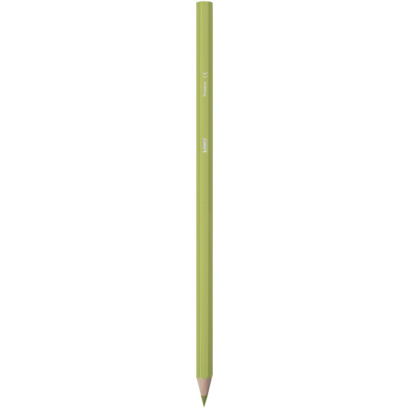 Карандаши цветные 12цв 6-гран Bic Tropicolors 832566